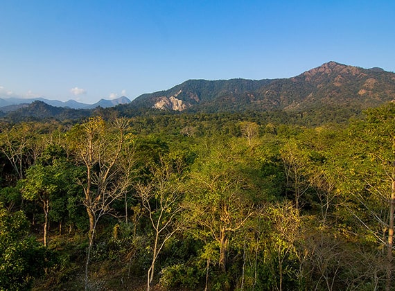 Buxa Tiger Reserve