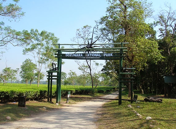 Gorumara National Park