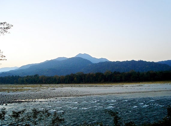 Manas National Park