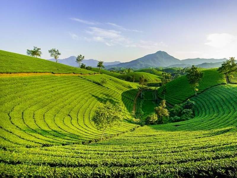 Cross-Border Himalayan Experience