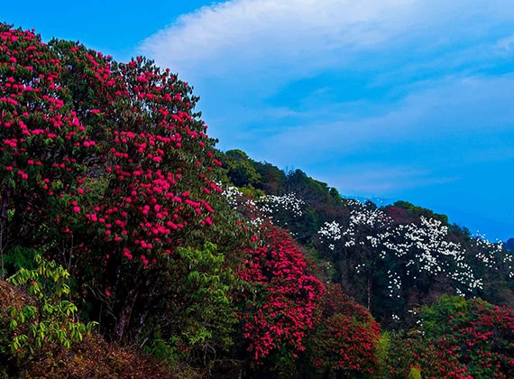 Sigallila National Park